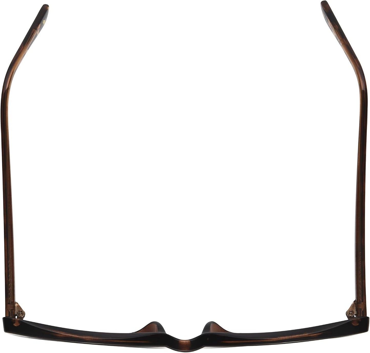 Womens Cora Sunglasses Cat Eye Sunglasses