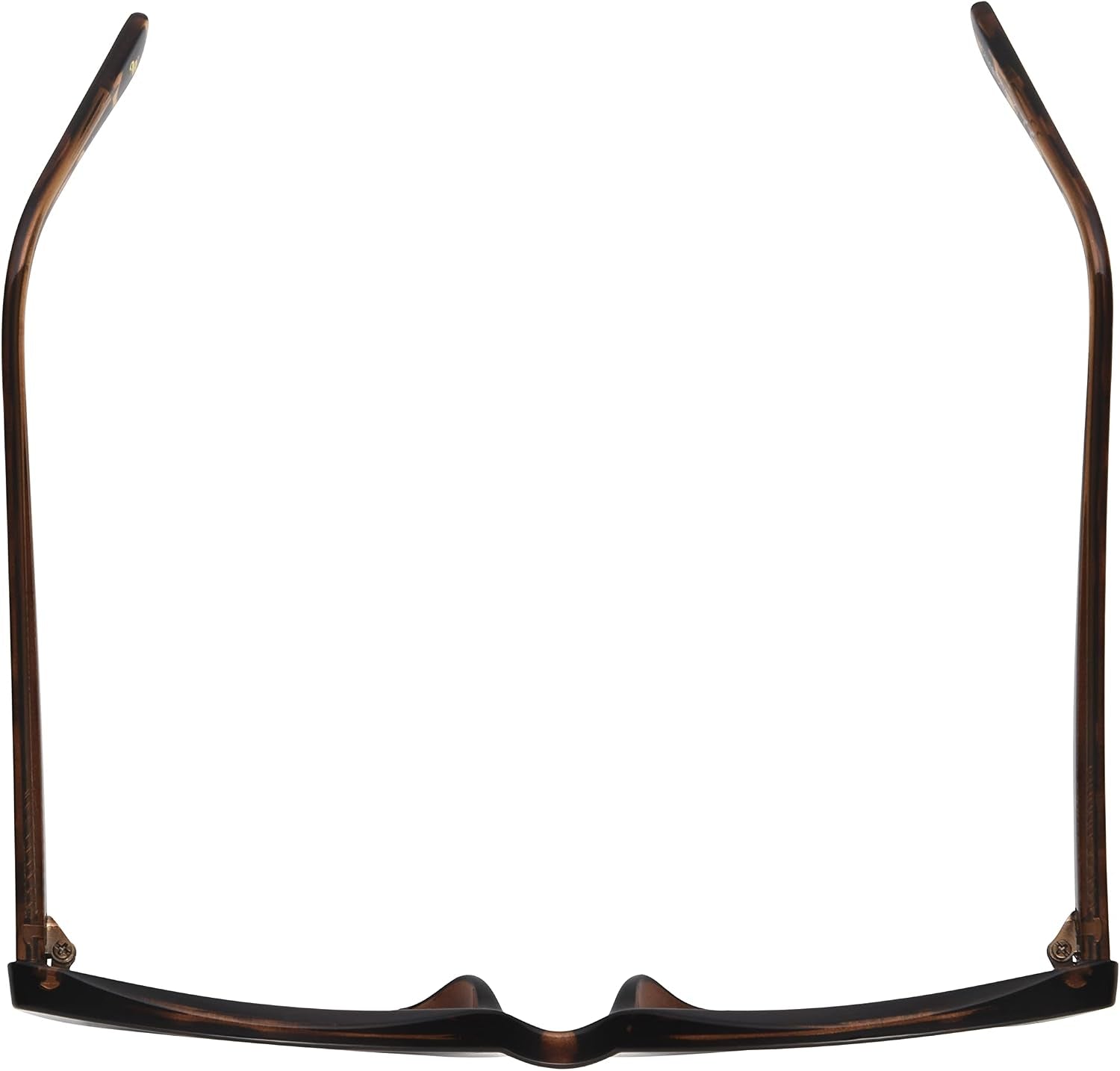 Womens Cora Sunglasses Cat Eye Sunglasses